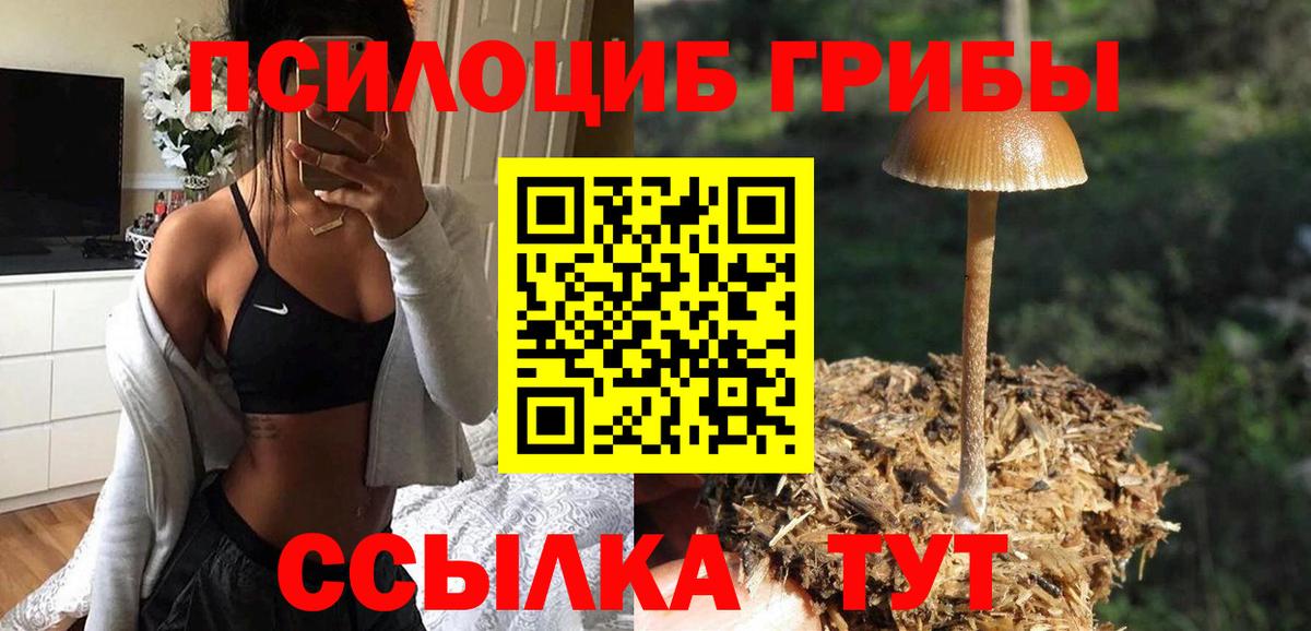 Канск  Галлюциногенные грибы ЛСД  Вход с VPN 